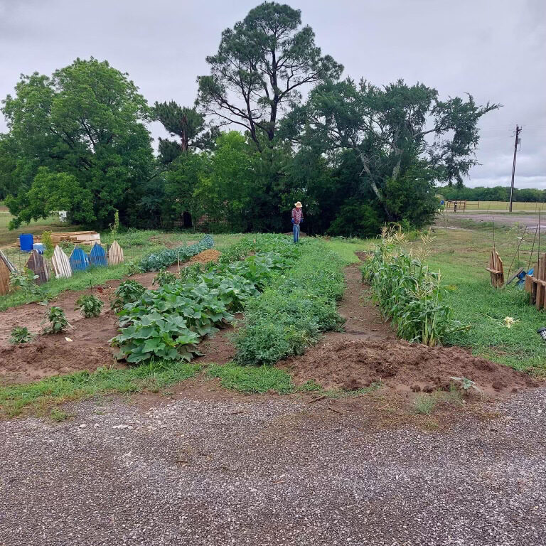 community garden